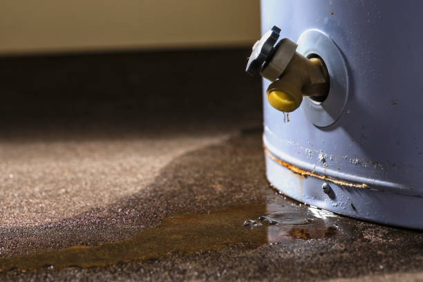Best Water damage cleanup near me  in Alton, TX