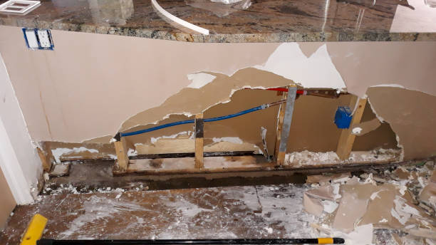 Best Water damage restoration near me  in Alton, TX