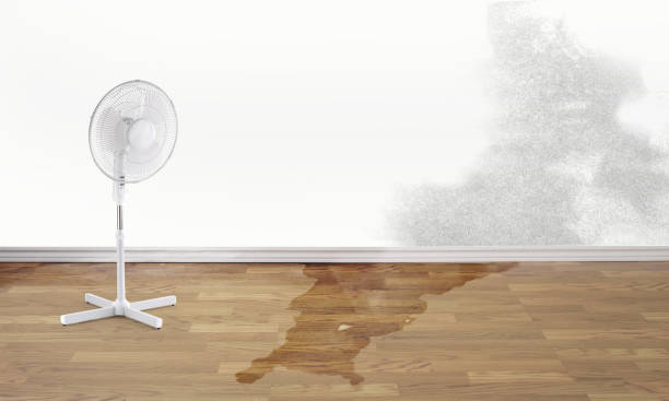 Best 24-hour water damage restoration  in Alton, TX