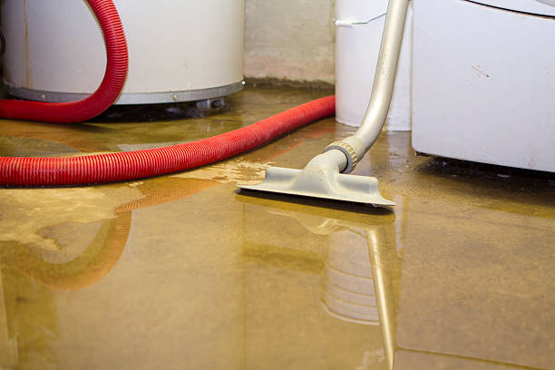 Best Flood restoration services  in Alton, TX