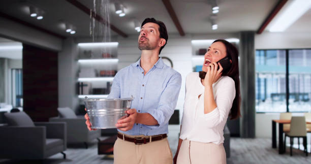 Best Flood damage cleanup  in Alton, TX
